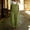 Army Green, variant on Women's Vintage Button Front Bib Pants – Straight Leg, Side Pockets, Solid Color Summer Overalls Light Yellow，L