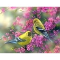 thumbnail image 1 of Deux Oiseaux Peignes par Numéros, 1 of 7