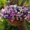 thumbnail image 5 of ABEDOE 100 Petunia Flower Seeds, High Germination Rate, 5 of 8