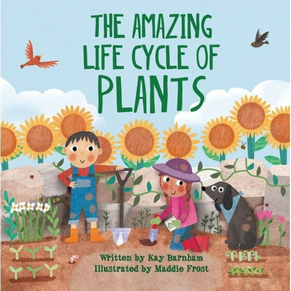 Pre-Owned The Amazing Life Cycle of Plants (Hardcover 9781438050430) by Kay Barnham, Maddie Frost