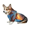 thumbnail image 6 of Goofa Red And Blue Fire Dragon A Pattern Small Dog Sweater Hoodies Pet Grey Hooded Soft Fleece Sweatshirts with Pocket Fall Winter Puppy Cat Sweaters Warm Clothes-X-Small, 6 of 8