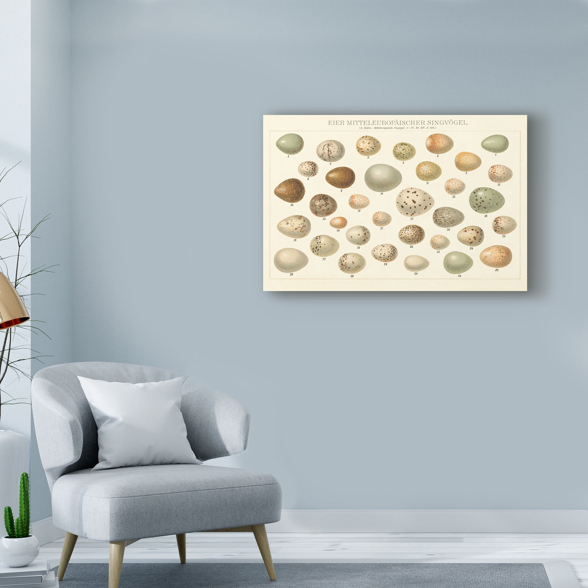 Trademark Fine Art 'Song Bird Egg Chart v2' Canvas Art by Wild Apple Portfolio