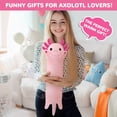 thumbnail image 4 of Axolotl Heating Pad for Period Cramps & Menstrual Pain Relief, Portable Electric Heat Pads USB Powered, Cute Stuff Stuffed Animals for Women Teen Girls, Funny Birthday Easter Christmas Axolotl Gifts, 4 of 7