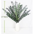 thumbnail image 2 of Dried Eucalyptus Plant,20pcs Durable Greenery Leaves for Vase Filler,Shower Hanging Plant,HYG Eucalyptu Plants for Farmhouse,Room Decor, 2 of 6