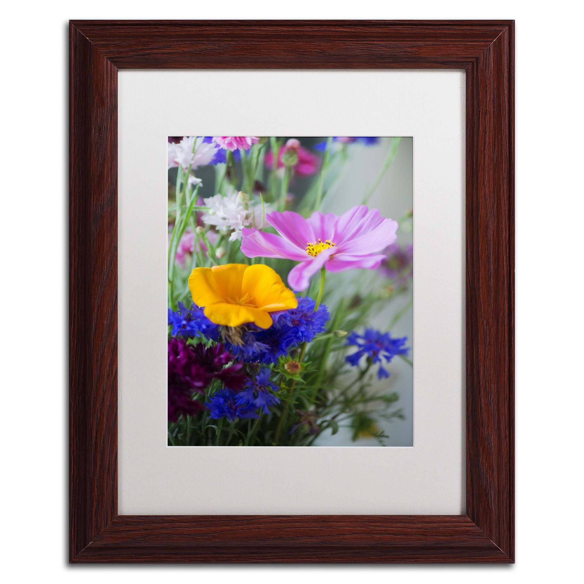 Trademark Fine Art "Cosmo Duo" Canvas Art by Philippe Sainte-Laudy, White Matte, Black Frame