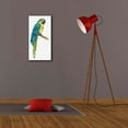 thumbnail image 6 of Epic Graffiti 'Teal Macaw I' by Grace Popp, Giclee Canvas Wall Art, 12"x24", 6 of 8