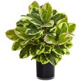 thumbnail image 2 of Nearly Natural 6952 Rubber Plant in Glossy Cylinder, 2 of 4