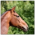 thumbnail image 1 of Picture-Tiles.com: Horse Ceramic Tile Wall Mural WAL500760-44L. 32"W x 32"H using (16) 8" x 8" Ceramic Tiles-Satin Finish, 1 of 3