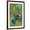 Brown Frame, variant on Art.com Green Violetear (Colibri Thalassinus) Feeding, Savegre, Costa Rica Photographic Print, 12" x 18"