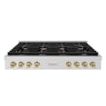 thumbnail image 2 of ZLINE 48 in. Autograph Edition Paramount Gas Rangetop with 8 Burners and Porcelain Cooktop in Stainless Steel with Champagne Bronze Accents (SRTZ-48-CB), 2 of 2