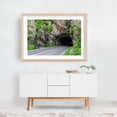 thumbnail image 6 of Mary's Rock Tunnel in August ,Virginia - Virginia Photography Scenic Landscape Nature Wilderness Mountain Unframed Wall Art Print 24 x 36 inches, 6 of 7
