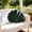 🔥 Army Green, variant on Msgweeeg Lumbar Pillow Decorative Throw Pillows Soft Velvet Seashell Throw Pillow Soft Lint Shells Shape Cushion Decorative Accents Pillow for Sofa Couch Bed Living Room Comfortable Home Decor