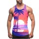 thumbnail image 1 of Camiseta de tirantes de cuello redondo para hombre, sin color, con estampado degradado, cuello redondo, tirantes finos, espalda con fugas, estilo informal, deportiva, para hombre, 1 of 4