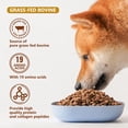 thumbnail image 6 of Zammex BeefyPaws™️ Bone Broth For Dogs & Cats, Grass-Fed Beef Bone Broth, Pet Food Topper For Picky Eaters, 100 Servings, 6 of 12