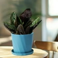 thumbnail image 5 of Up to 60% off Gifts Nsxcdh Scandinavian Style Resin Flower Pot Large Green Plants Gallon Pots Durable & Long-lasting Plastic Imitation Ceramic for Household Decor Birthday Gift, 5 of 7