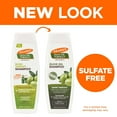 thumbnail image 3 of Palmers Olive Oil Formula Smoothing Hair Shampoo - 13.5 Oz, 3 Pack, 3 of 10