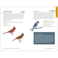 thumbnail image 5 of North American Bird Watching for Beginners (Spiral Bound), 5 of 9