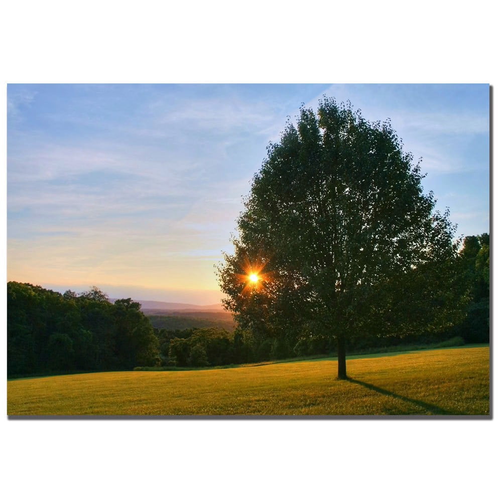Trademark Art "Poetry of Nature" Canvas Art by CATeyes
