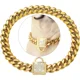 thumbnail image 1 of Pradog Collar De Cadena De Oro Para Perro Con Hebilla De Zir, 1 of 8