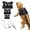 Black, variant on Reptile Harness and Leash Set, 3 Size Soft Faux Suede Vest Harnesses with Retractable 9.8 ft Leash for Bearded Dragons, Lizards, Chameleons, Small Pets, Brown