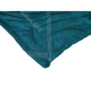 Scooby Doo Vantastic Kids Silk Touch Throw Blanket