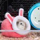 thumbnail image 4 of Nido de hámster erizo para mascotas, minicasa para dormir de animales (conejo rosa), 4 of 5