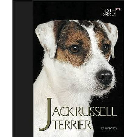 The Jack Russell