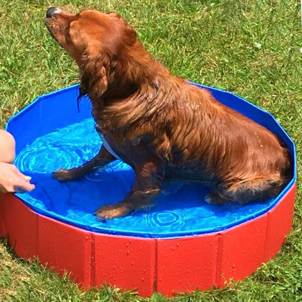 Foldable Dog Paddling Pool Puppy Cats Swimming Bathing Tub Pet Children