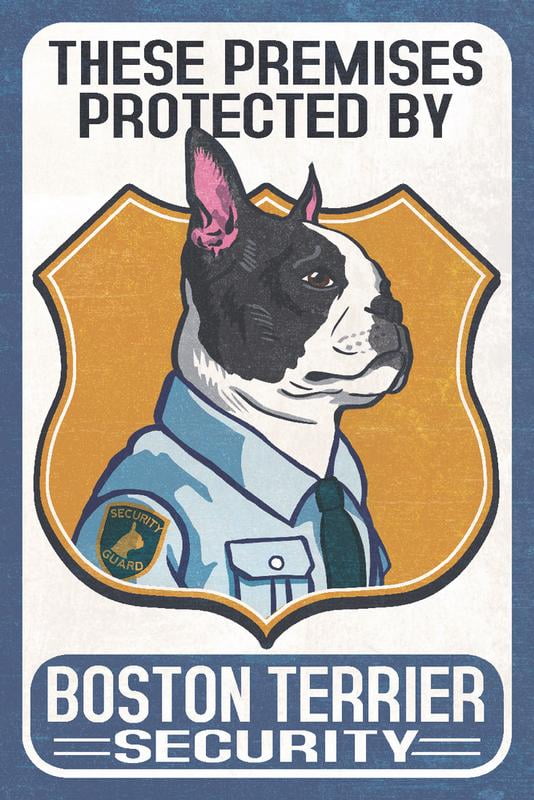 Boston Terrier Security, Dog Sign (9x12 Wall Art Print, Home Decor