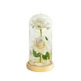 thumbnail image 2 of Preserved Rose Night Light in Glass / Dome - LED Light Up Eternal Rose for Valentineâs Day, Anniversary, Birthday | 21.5cm Tall, /Glass Options, 2 of 3
