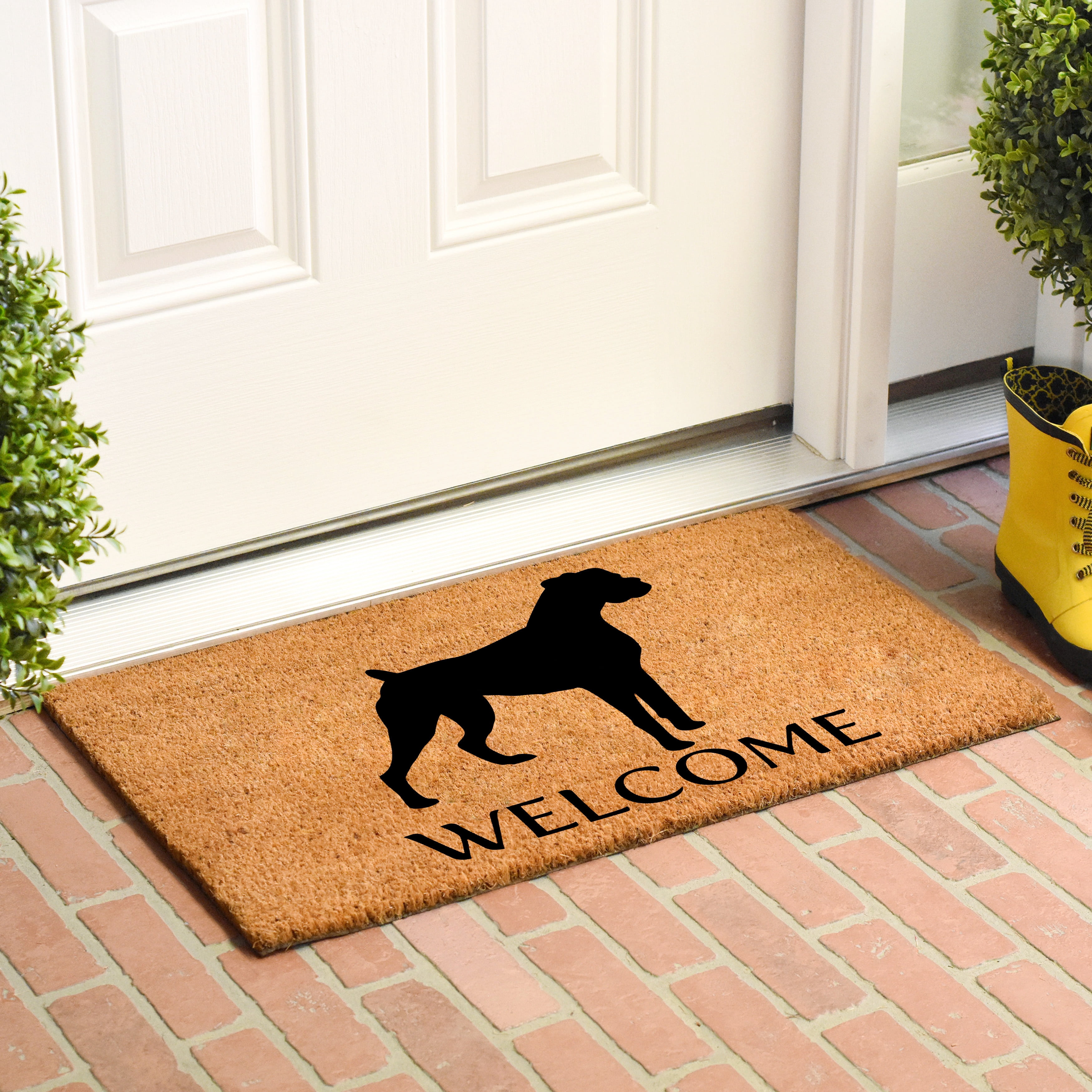 Calloway Mills Boxer Outdoor Doormat 24" x 36"