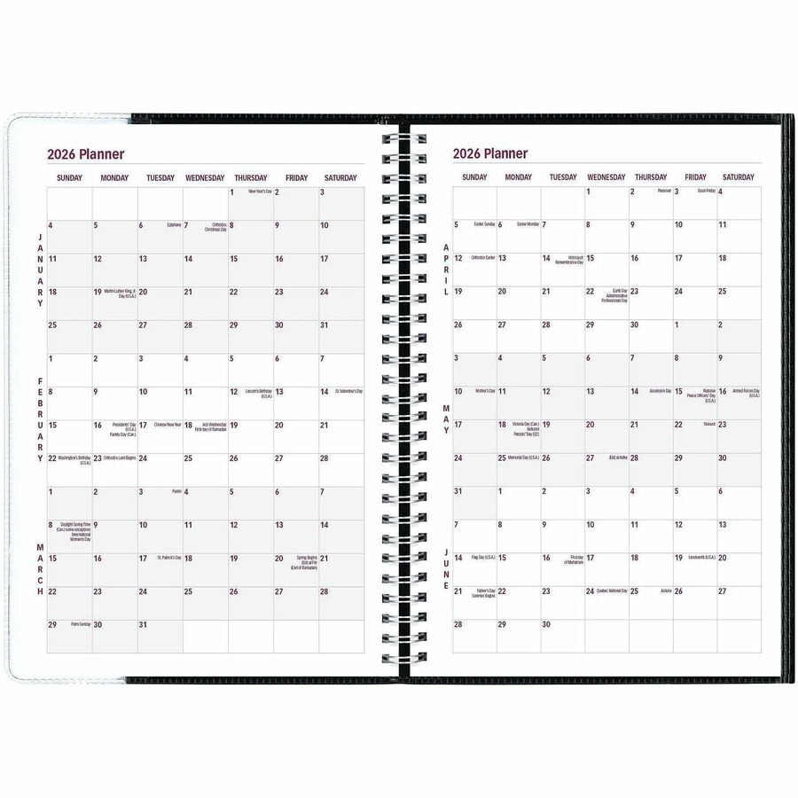 Brownline Pre-Vu Weekly Planner, Transparent Section, English, Black [CB920.BLK] (cb920blk)