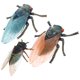 thumbnail image 5 of 3 piezas de modelo de insecto falso juguete cognitivo modelo de cigarra simulación de cigarra falsa juguete de cigarra, 5 of 8