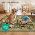 thumbnail image 4 of ODIKA 4'x6' Ultra-Soft Area Rug, Fish Vintage Outdoorsman Border Theme Trout Lure Cabin Fishing Flowing Dynamic None Washable, Bare feet friendly, Silk-Touch for Bedroom Home office, 4 of 7
