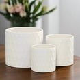 thumbnail image 2 of Hexora Ceramic Patterned Planter Set (Set of 3), 2 of 4