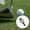 Koala, variant on Headcover Wood Driver Head Cover Sleeve for Golf Bag Accessories Birthday Gifts - Lion
