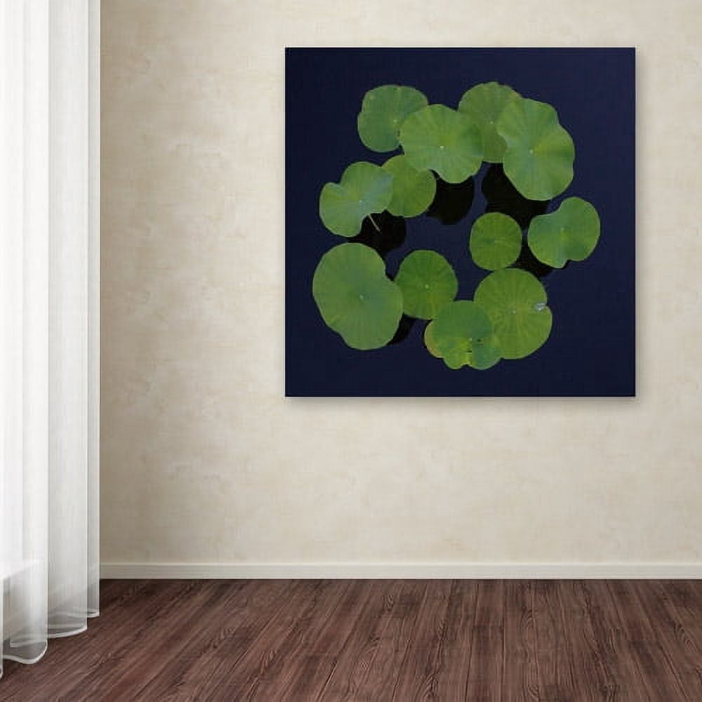 Trademark Fine Art "Giant Lily Pad Abstract" Canvas Art by Kurt Shaffer