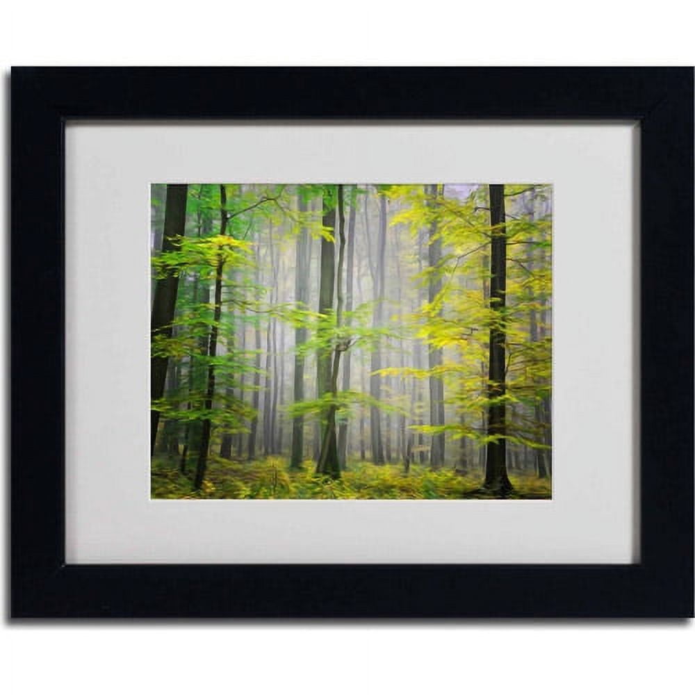 Trademark Fine Art "Sugar Low" Canvas Art by Philippe Sainte-Laudy, Black Frame