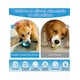thumbnail image 2 of Pelota Para Perro Juguetes Interactiva Para Perro Xtellar color azul, 2 of 4