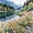 Riverbank Wildflowers01, variant on Watercolor Mountain Wildflower Framed Wall Art, Solid Wood Frame Hiking Trail Nature Landscape Print, Scenic Outdoor Artwork for Living Room Bedroom, 12x16in