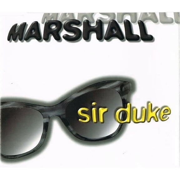 Sir Duke (Stevie Wonder-cover version) (Audiobook)