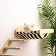 Cat Wall Mounted Cat Shelves And Perches For Wall Cat Wall Bed