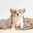 thumbnail image 4 of Disketp Tortilla Dog Blanket/Bed Cover for Dogs and Cats,Puppy Essentials-Small, 4 of 8