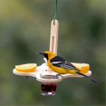 thumbnail image 4 of Oriole Bird Feeders, Jelly and Oranges Bird Feeder Outside Hanging, 4 of 5
