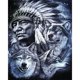 thumbnail image 1 of Cuadros Decorativos 5D DIY Diamond Painting Kits Full Square Drill Indian and Wolfs Mosaic Art Likrtyny embutido en tela, 1 of 9