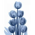 thumbnail image 2 of Koetsier, Albert 12x14 White Modern Wood Framed Museum Art Print Titled - Indigo Spring Tulips, 2 of 4