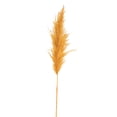 thumbnail image 3 of Vickerman 46" Dried Aspen Gold Pampas Grass 6 pack. It includes two stems. Recommended for Indoor., 3 of 6