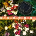 thumbnail image 4 of Solar Garden Lights,2 Pack Latest Fiber Optic Cherry Blossom And Butterfly Lights,Outdoor Solar Lights, 4 of 7