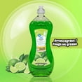 thumbnail image 3 of Great Value Dish Washing Liquid Detergent, Limon/Lime, 28 fl oz, 3 of 6