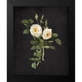 thumbnail image 2 of Kimberly, Allen 20x24 Black Modern Framed Museum Art Print Titled - Roses on Black 1, 2 of 5